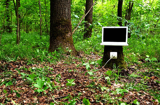 istock Laptop on stump is charging with help of nature 183217437