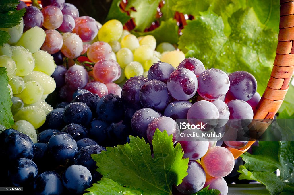 Bunch of different types of fresh grapes Fresh grapes and basket composition. Grape Stock Photo