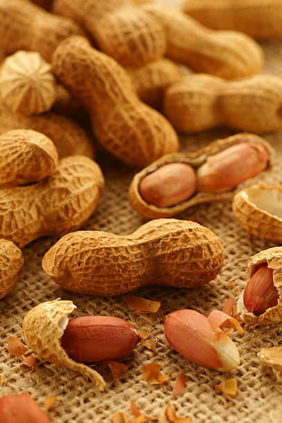 Several freshly roasted peanuts stock photo