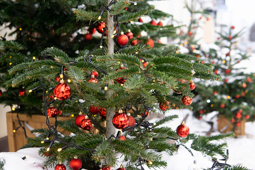 Christmas trees decorated with red balloons in front of the entrance to the cafe. Street Christmas decorations.