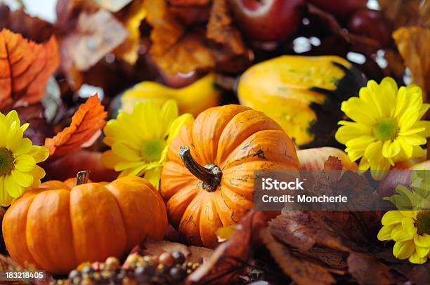 Herbst Dekoration Stockfoto und mehr Bilder von Apfel - Apfel, Bildhintergrund, Bildschärfe