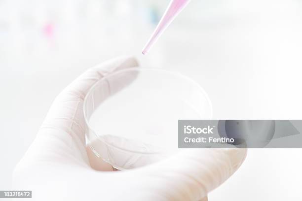 Mão Segurando Placa De Petri - Fotografias de stock e mais imagens de ADN - ADN, Antibiótico, Artigo de Vidro de Laboratório