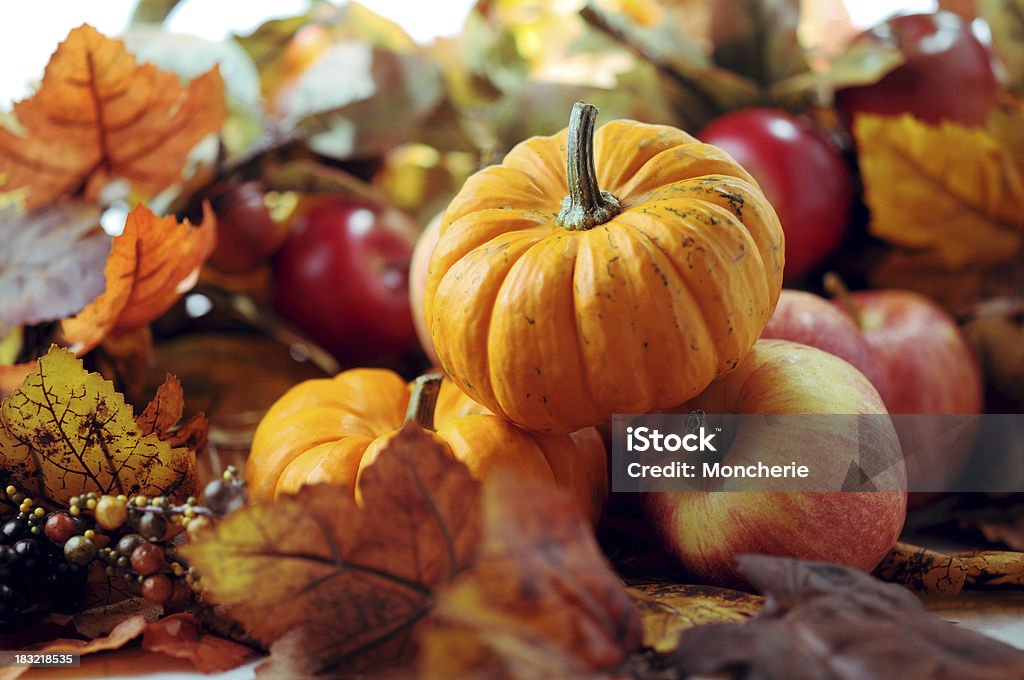 Autunno Decorazione - Foto stock royalty-free di Zucca