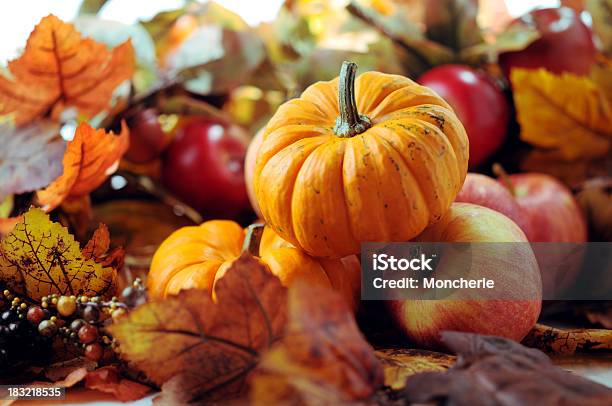 Autunno Decorazione - Fotografie stock e altre immagini di Zucca - Zucca, Mela, Cucurbitacee - Verdura