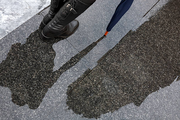 istock Woman with Umbrella. Color Image 183218644