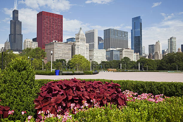 istock Chicago # 19 XXXL 183218821