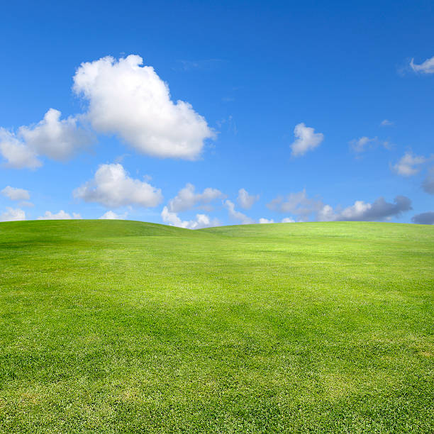 clean green landscape over clear sky landscape shot of green field over blue sky.Please see some similar pictures from my portfolio: Lea stock pictures, royalty-free photos & images