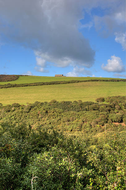 barn en horizon típico welsh hill farm - welsh culture wales field hedge fotografías e imágenes de stock