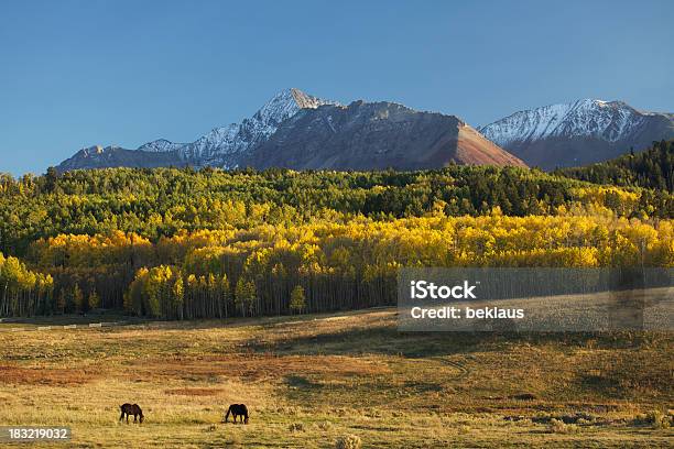 Colorado Koni I Góry - zdjęcia stockowe i więcej obrazów Bez ludzi - Bez ludzi, Dziki Zachód, Fotografika