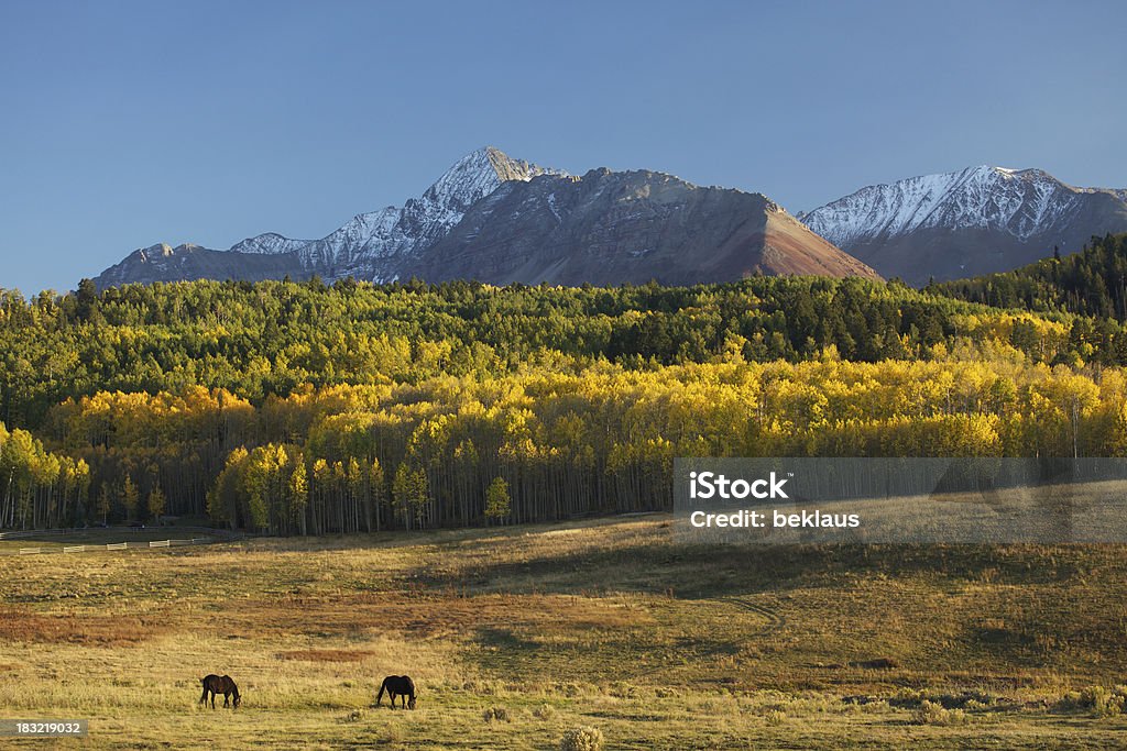 Лошадей и горы Колорадо - Стоковые фото Американская культура роялти-фри