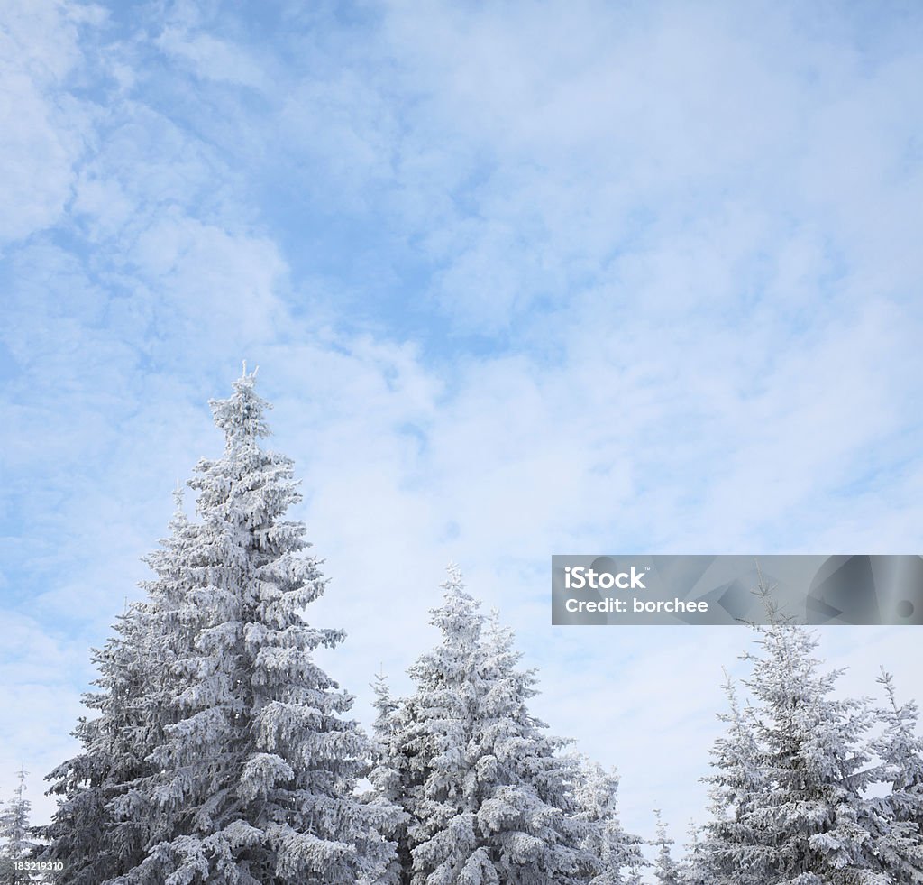 Winter Forest - Lizenzfrei Abgeschiedenheit Stock-Foto