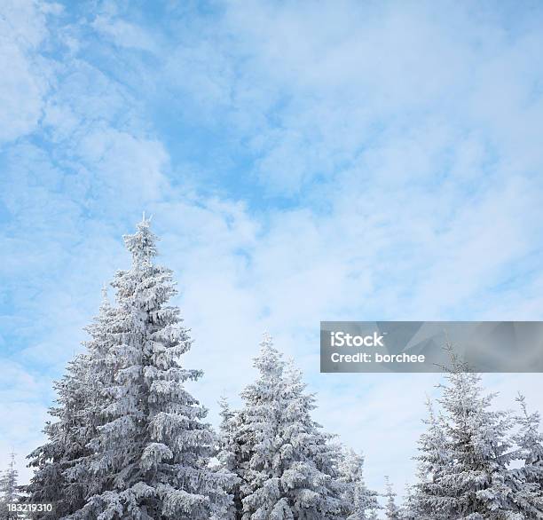 Winter Forest Stockfoto und mehr Bilder von Abgeschiedenheit - Abgeschiedenheit, Arktis, Aufnahme von unten