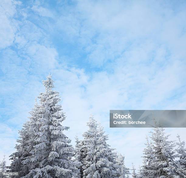 Floresta De Inverno - Fotografias de stock e mais imagens de Abeto - Abeto, Ao Ar Livre, Azul