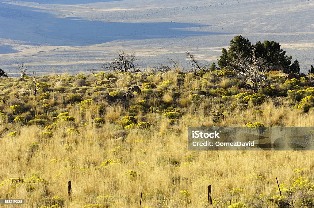 Automne sur Rabbitbrush et herbes sur Great Basin - Photo de Automne libre de droits