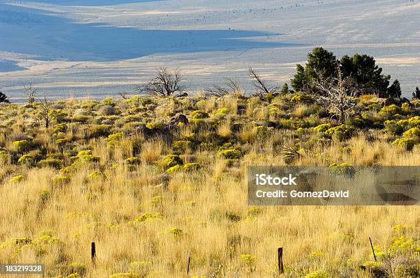 Photo libre de droit de Automne Sur Rabbitbrush Et Herbes Sur Great Basin banque d'images et plus d'images libres de droit de Automne - Automne, Beauté de la nature, Bigelovie puante