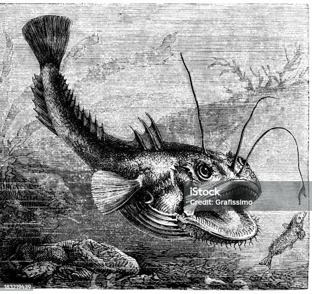 Vetores de Entalhes De Marcaverna Lophius Piscatorius e mais imagens de Ilustração e Pintura - Ilustração e Pintura, Peixe, Animal