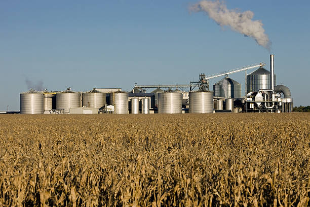 エタノール biorefinery cornfield 秋を背景に - e85 ストックフォトと画像