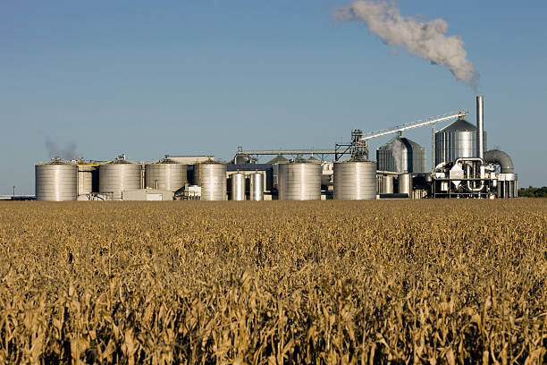 fall cornfield with ethanol biorefinery in the background - ethanol fotos stockfoto's en -beelden