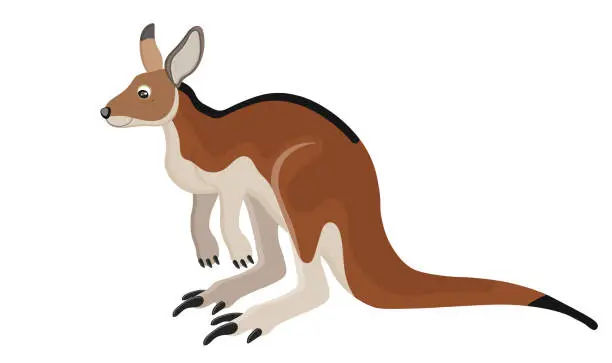 Vector illustration of Australian adult kangaroo with huge paw and pouch. Brown wallaby, safari vacation, zoo mammal, smiling animal. Cute cartoon design. Cheerful mother. Isolated on white background. Vector illustration