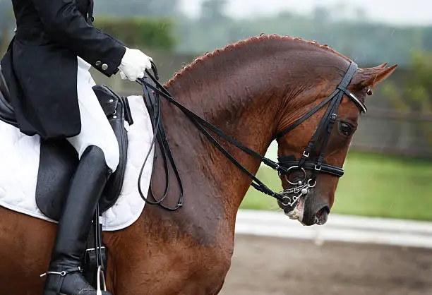 Photo of Riding in the rain