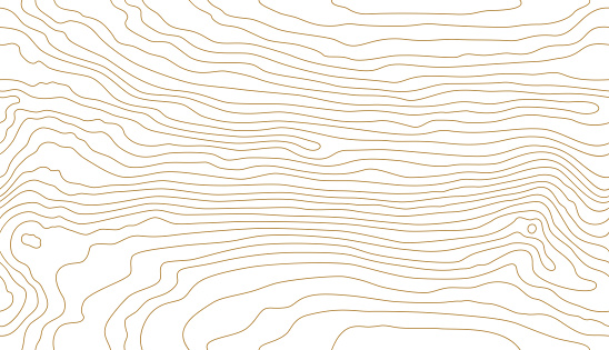 Seamless white wooden pattern. Wood grain texture. Dense lines. Abstract background. Vector illustration