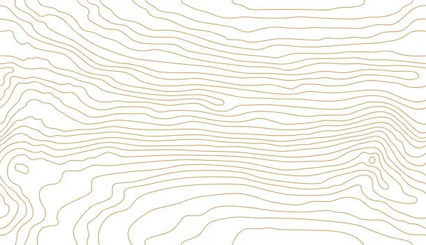 Vector illustration of Wood grain white texture. Seamless wooden pattern. Abstract line background. Tree fiber illustration