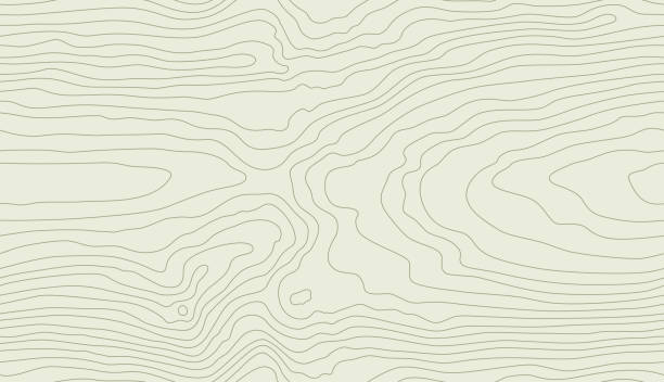 Redwood Data Pattern 60+ Redwood Wood Grain Background Stock Illustrations, Royalty-Free ...