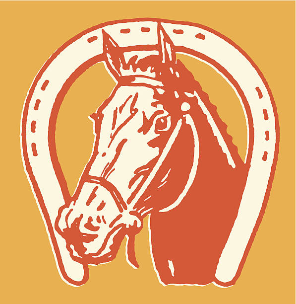 Horse and Horseshoe Horse and Horseshoe horseshoe horse luck good luck charm stock illustrations