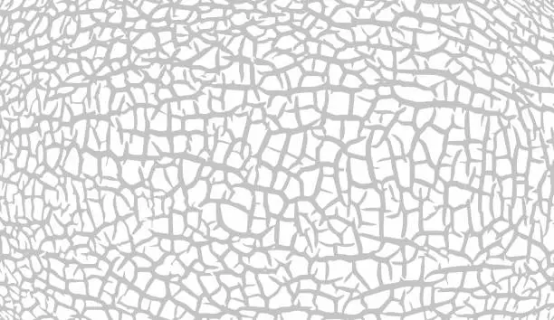 Vector illustration of Craquelure grunge background. Cracked paint structure. Ceramic tile pattern. Exfoliate surface. Consisting of fine cracks on the white surface. Vector overlay texture with aged effect