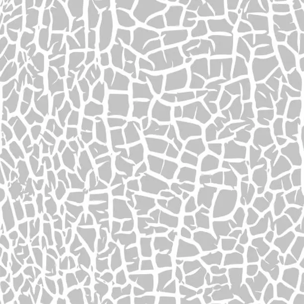 Vector illustration of Craquelure grunge background. Cracked paint structure. Ceramic tile pattern. Exfoliate surface. Consisting of fine cracks on the white surface. Vector overlay texture with aged effect
