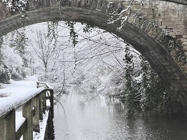 A bridge over a stream in winter at Jesmond Dene in Newcastle Upon Tyne A bridge over a stream in winter at Jesmond Dene in Newcastle Upon Tyne jesmond stock pictures, royalty-free photos & images