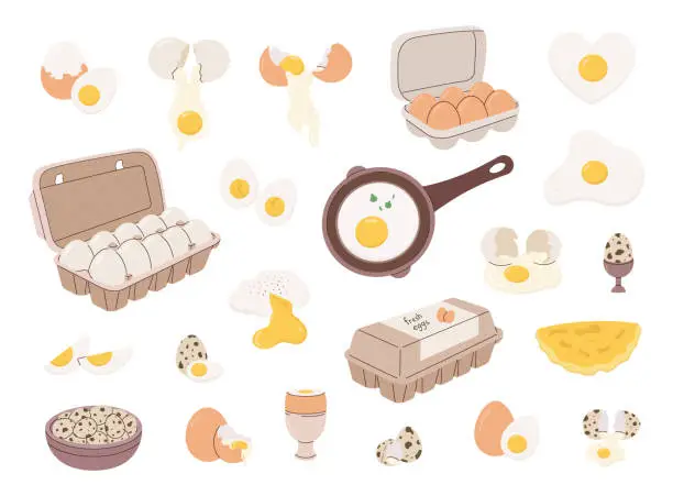 Vector illustration of chicken and quail eggs set, whole, raw, fried, cracked, broken, in shell, omelette, packed in cardboard box, flat style vector illustration