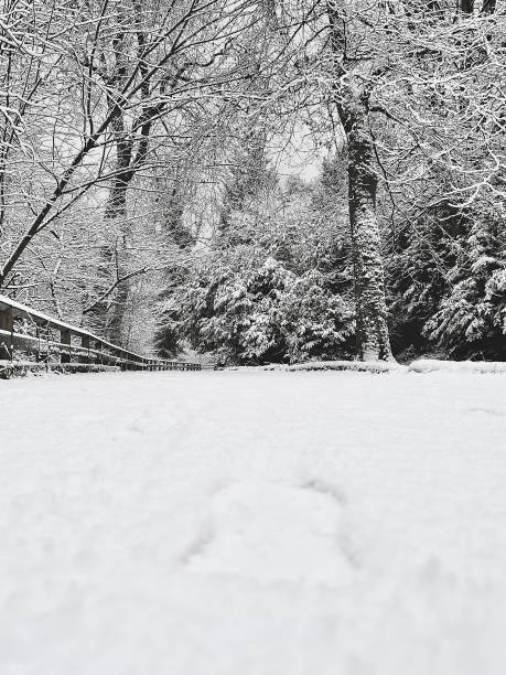 Surface level view of a snow scene at Jesmond Dene in Newcastle Upon Surface level view of a snow scene at Jesmond Dene in Newcastle Upon jesmond stock pictures, royalty-free photos & images