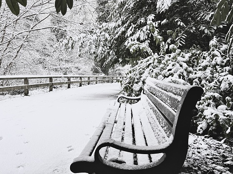 An empty public park bench covered with snow at Jesmond Dene in Newcastle Upon Tyne