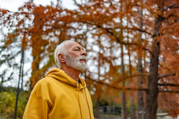 istock Senior man breathing fresh air in nature 1832272073