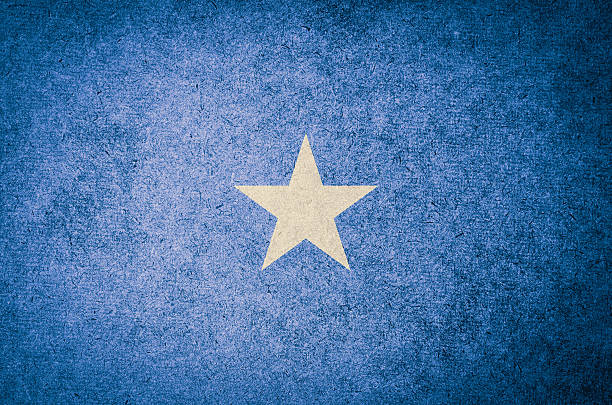 Grunge Flag of Somalia