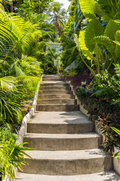 istock Stairs upward in tropical garden 1832299816
