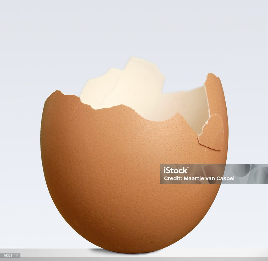 Guscio d'uovo - Foto stock royalty-free di Uovo - Stadio di vita di animale