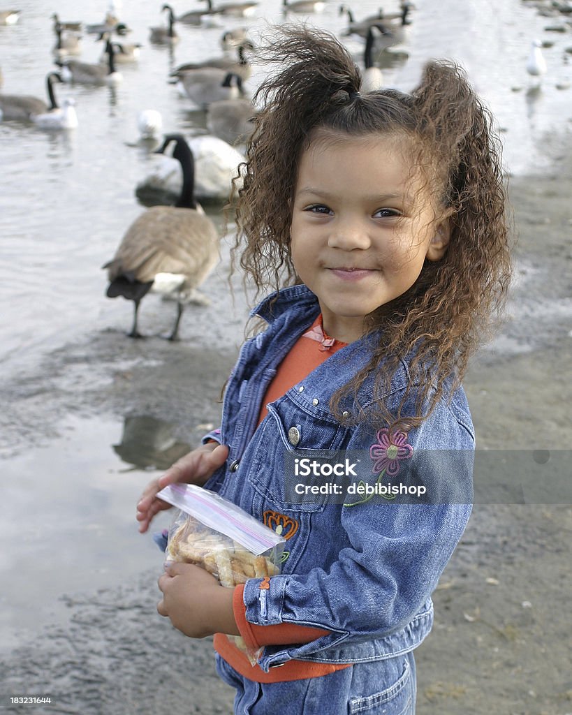 Bambina in the Duck Pond - Foto stock royalty-free di Istantanea