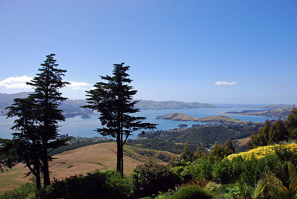 istock Dunedin, New Zealand 183231819