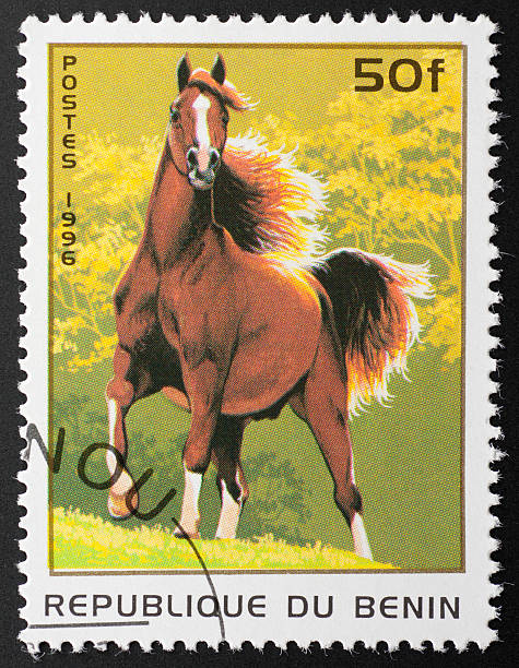 istock motive stamp Benin - arabian horse 183232009