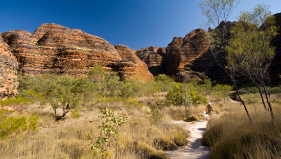 The striking zebra-striped rock formations endemic to the Bungle Bungles region of Western Australia.