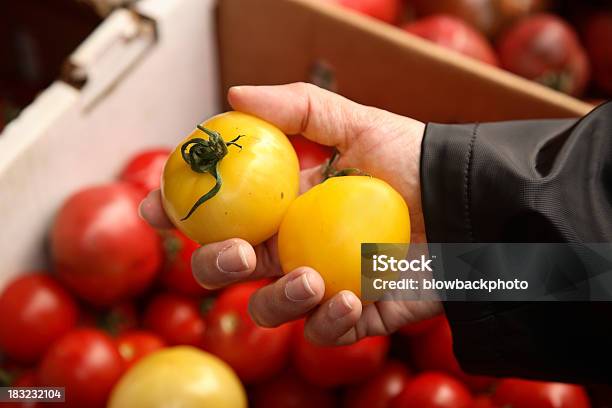 Agricultores Mercado Escolher Os Tomates - Fotografias de stock e mais imagens de Adulto - Adulto, Alimentação Saudável, Amarelo
