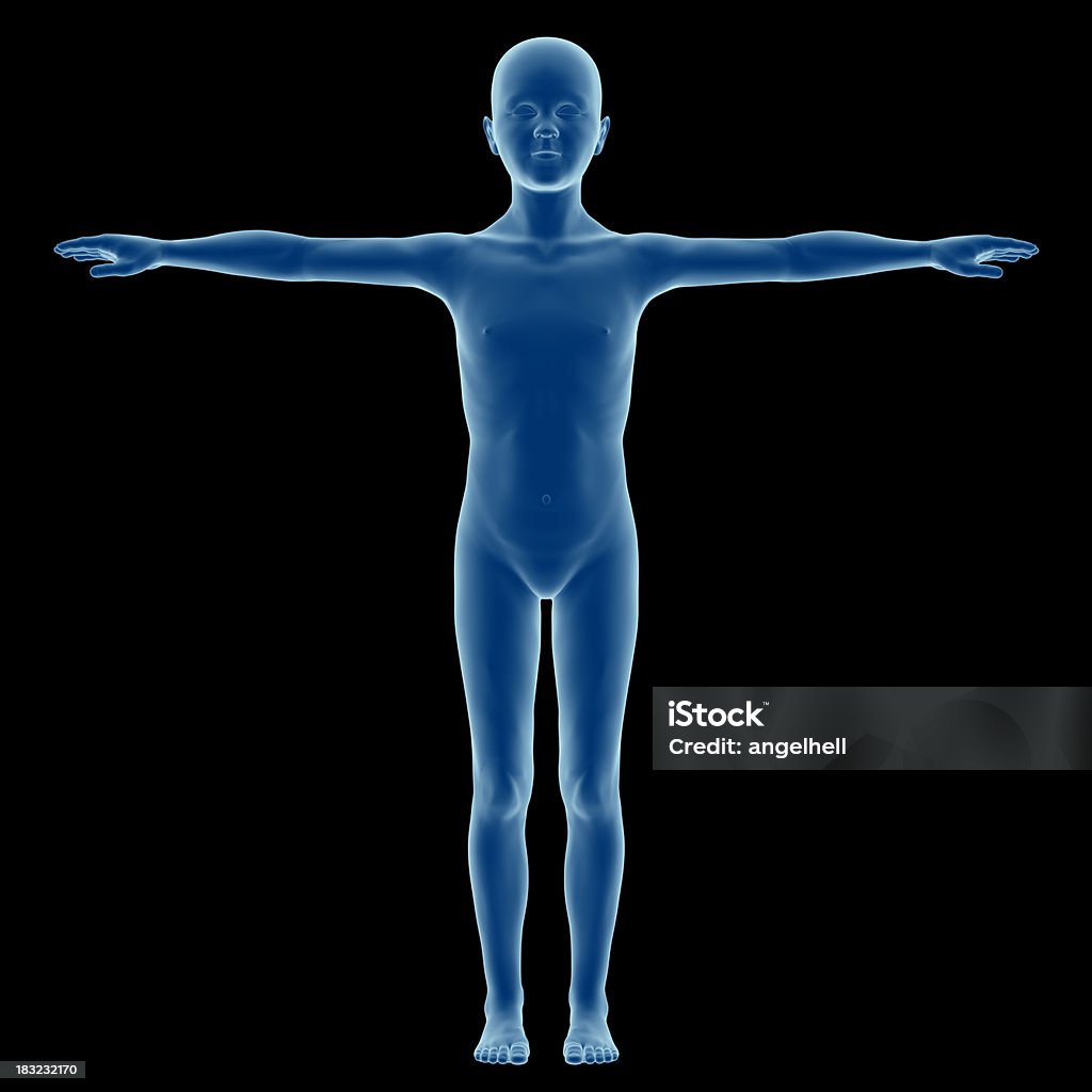 Corps humain d'un enfant pour espace de travail, modèle garçon. - Photo de Anatomie libre de droits