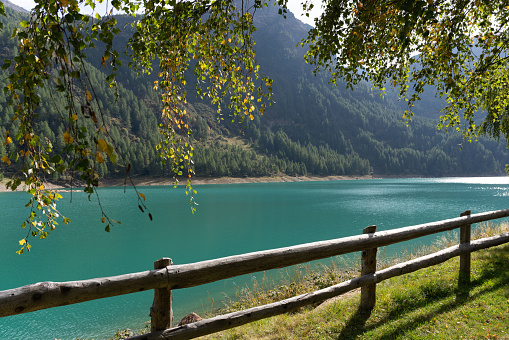 lake in Trentino , Italy.  Lago di Pian Palù  , Val di Pejo