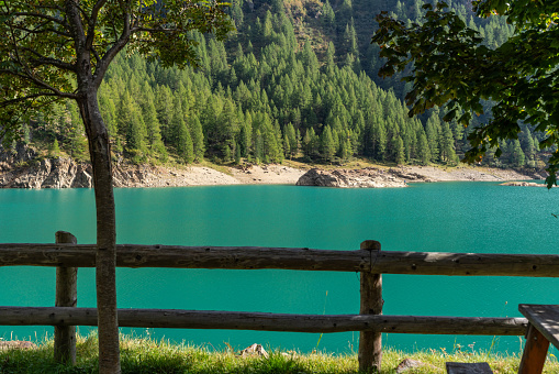 lake in Trentino , Italy.  Lago di Pian Palù  , Val di Pejo