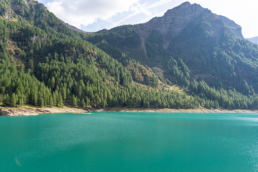 lake in Trentino , Italy.  Lago di Pian Palù  , Val di Pejo