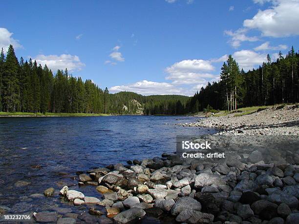 Snake River Stockfoto und mehr Bilder von Snake River - Snake River, Fluss Yellowstone River, Yellowstone-Nationalpark