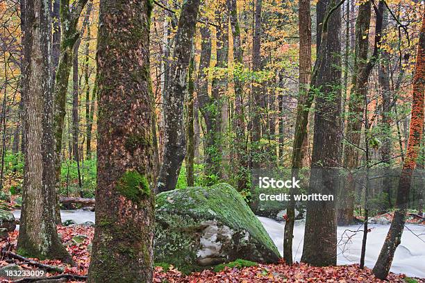 Autunno Cascata Nelle Montagne Fumose - Fotografie stock e altre immagini di Acqua - Acqua, Acqua fluente, Ambientazione esterna