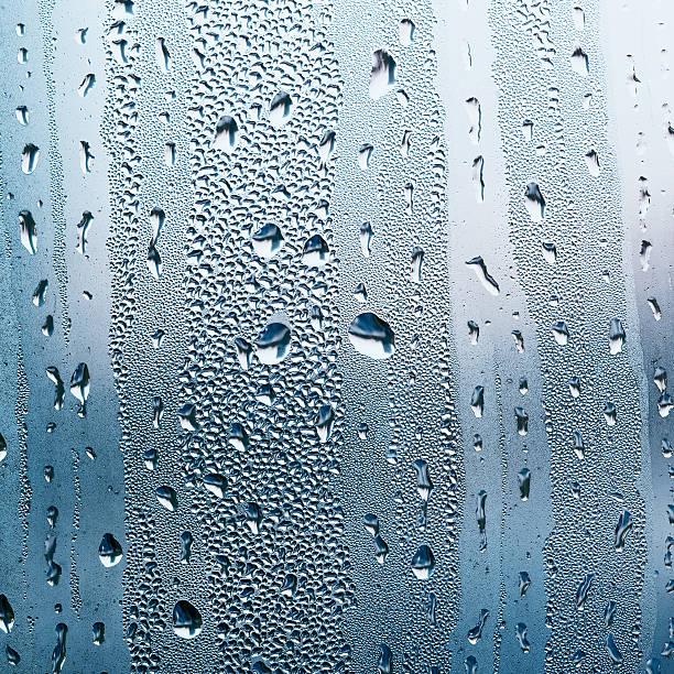 istock Close-up of rain drops 183233042